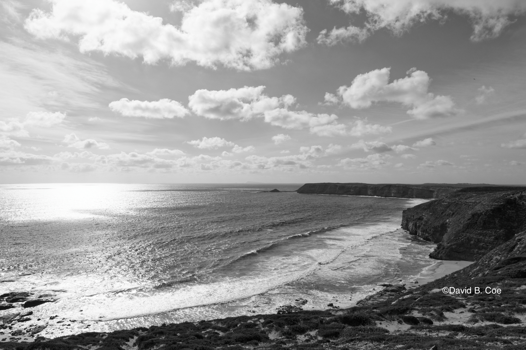 "View From Cape Spencer" by David B. Coe