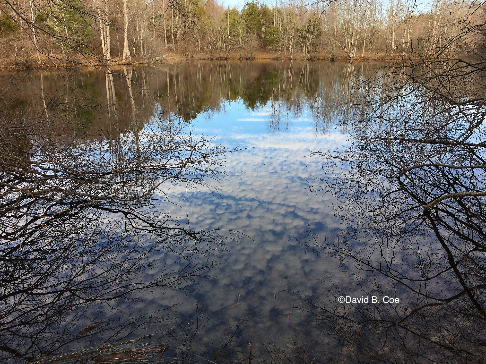 "Winter Reflections I, Lake Cheston, Sewanee," by David B. Coe