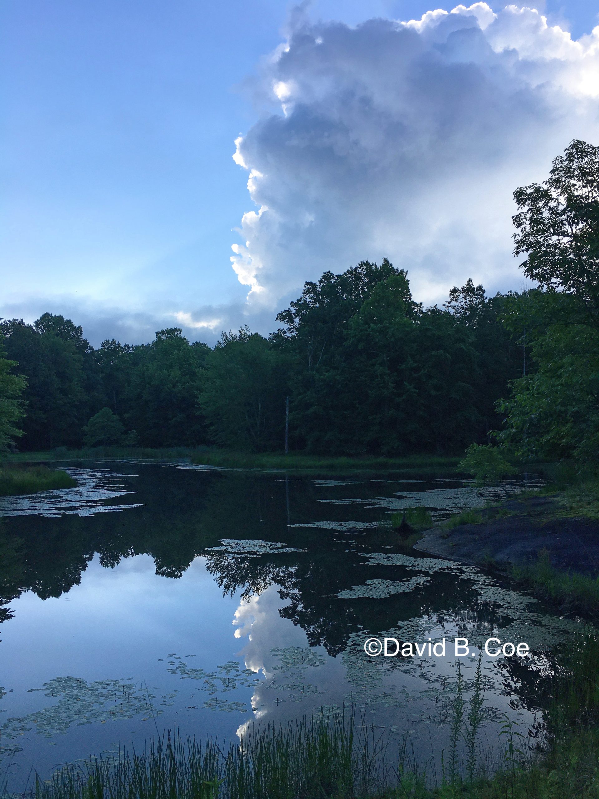 Morning Cloud Reflection, by David B. Coe