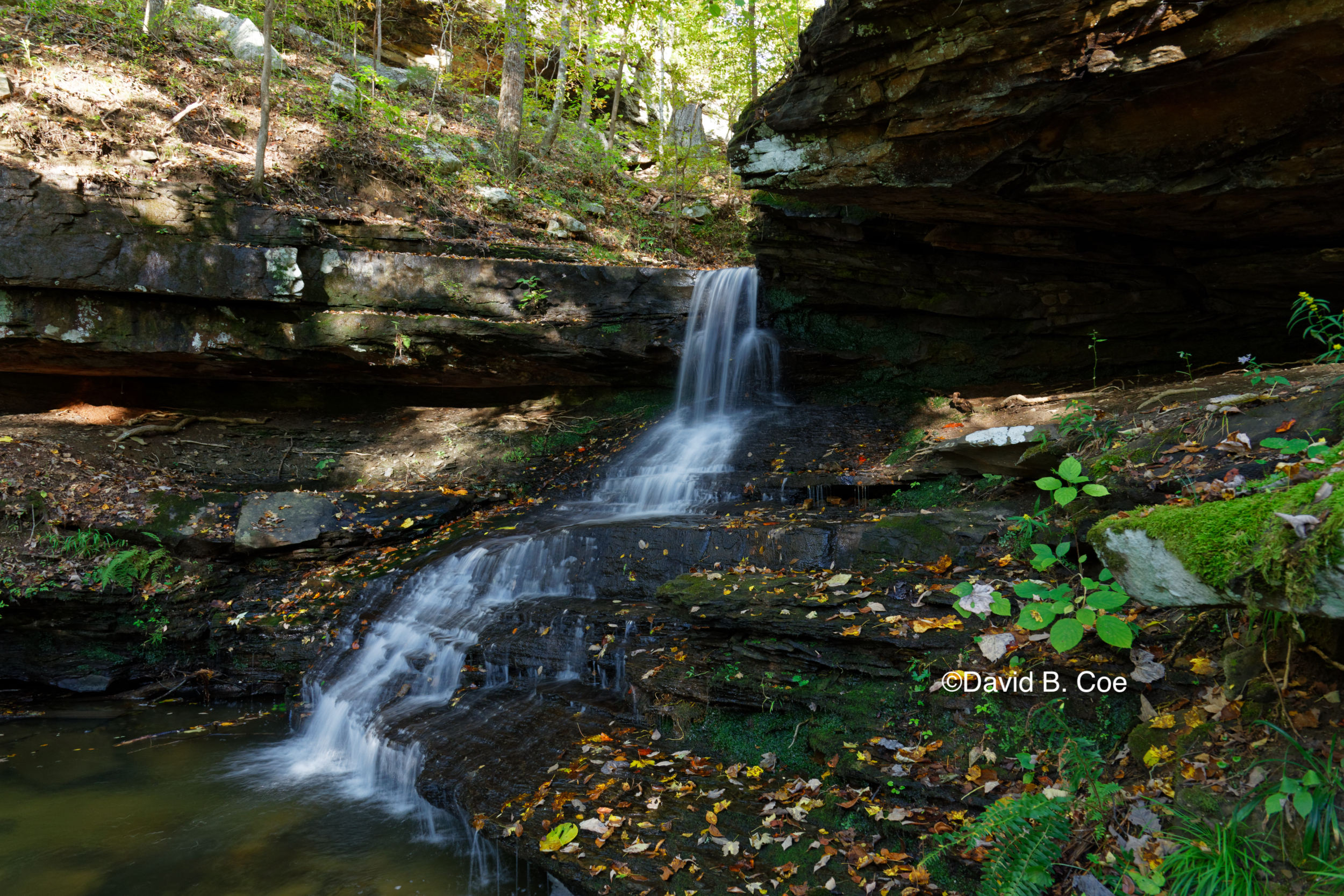 Morgan's Steep Cascade, Fall, by David B. Coe