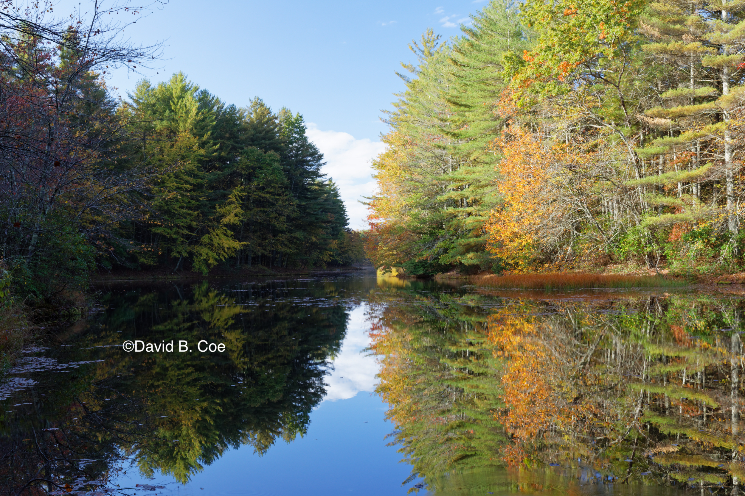 Foliage Reflections, Jackson Lake, by David B. Coe