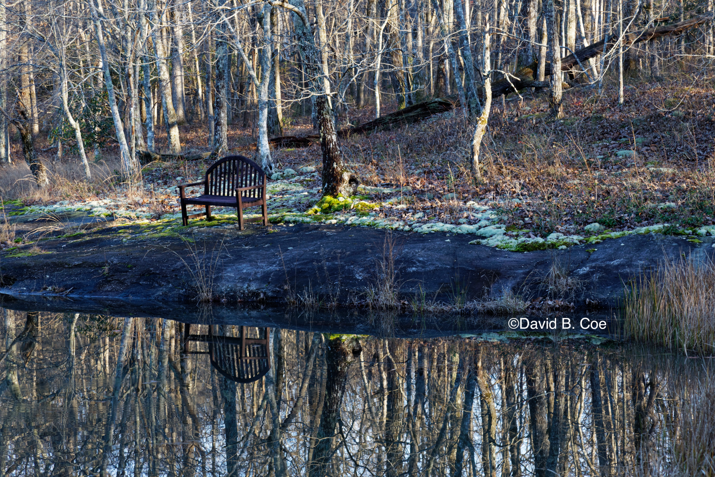 The Bench, by David B. Coe