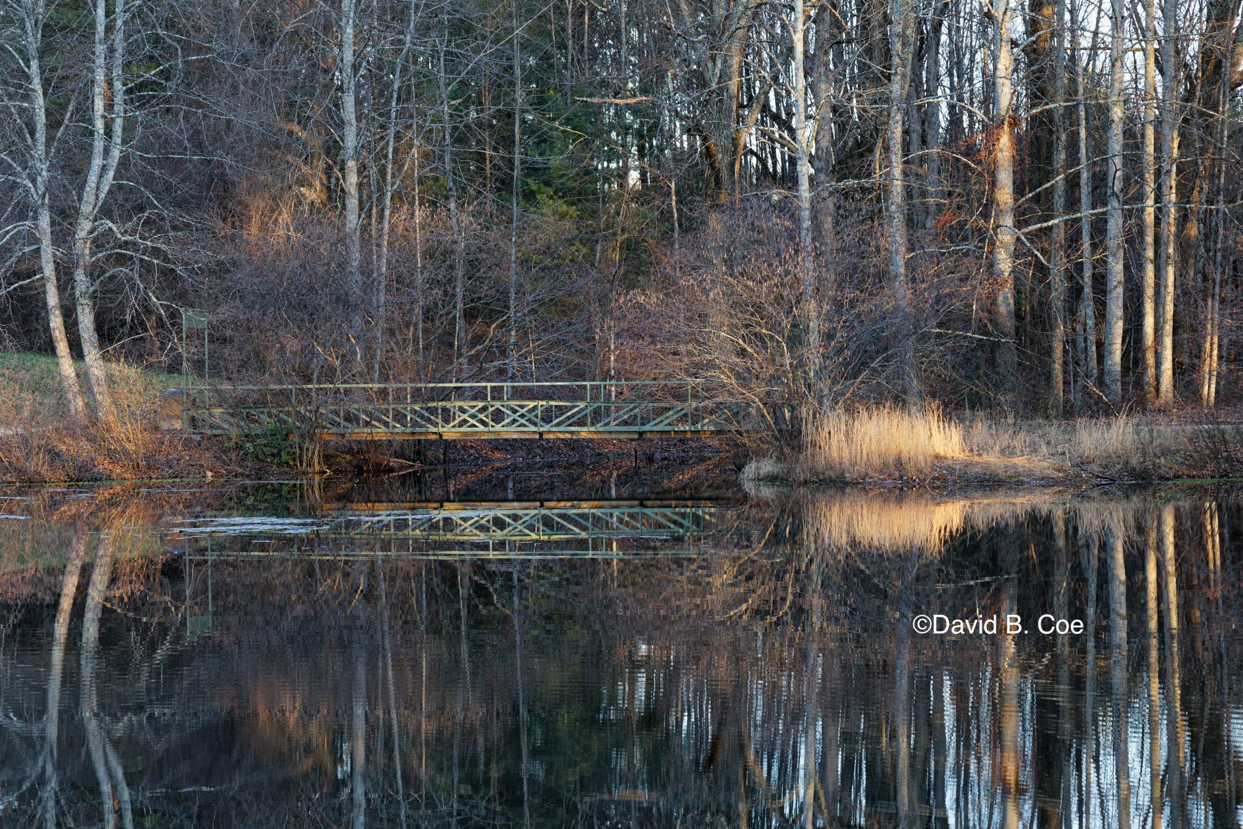 Walking Bridge at the Golden Hour, by David B. Coe