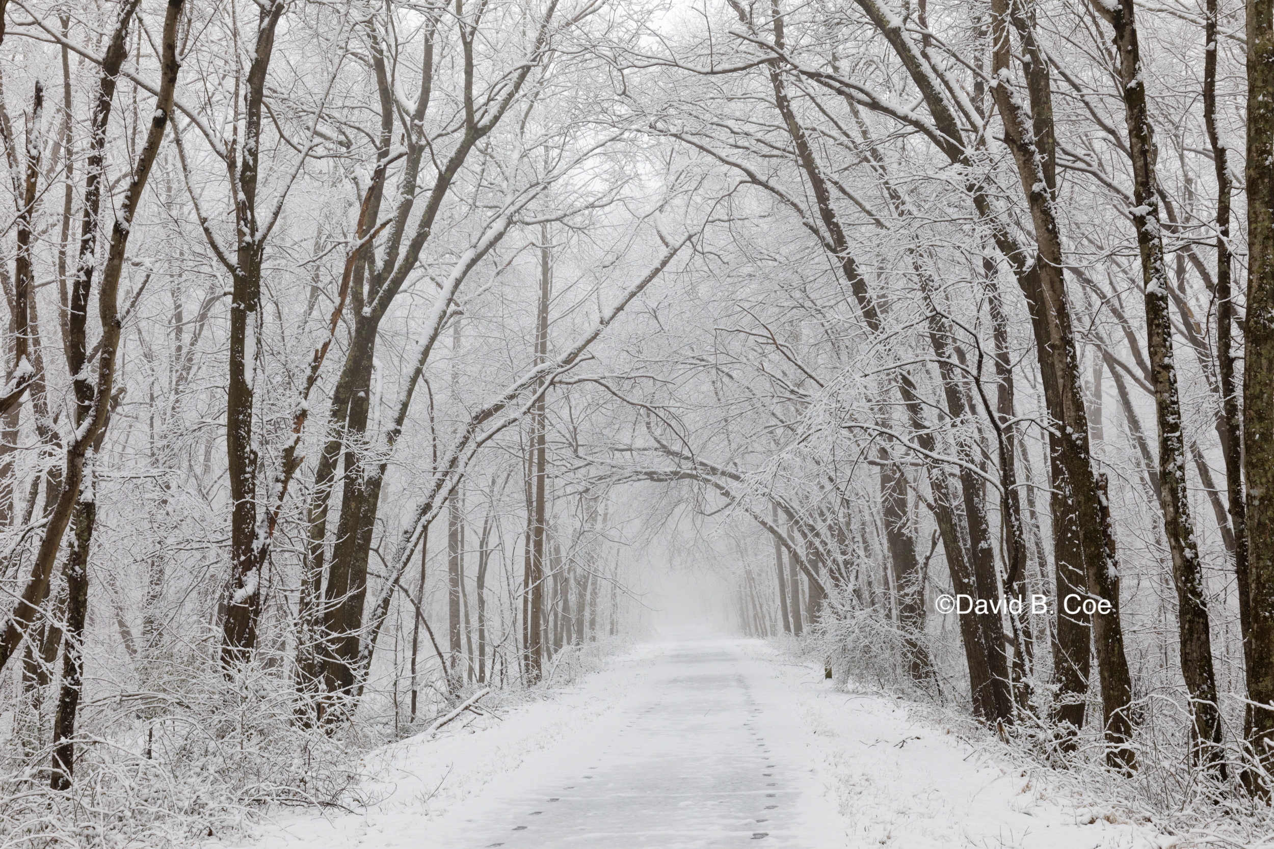 Mist and Snow Reflections, by David B. Coe