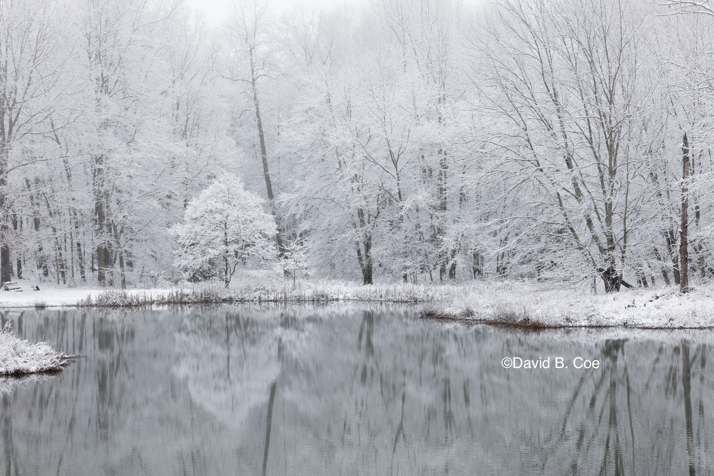 Winter Reflections, by David B. Coe