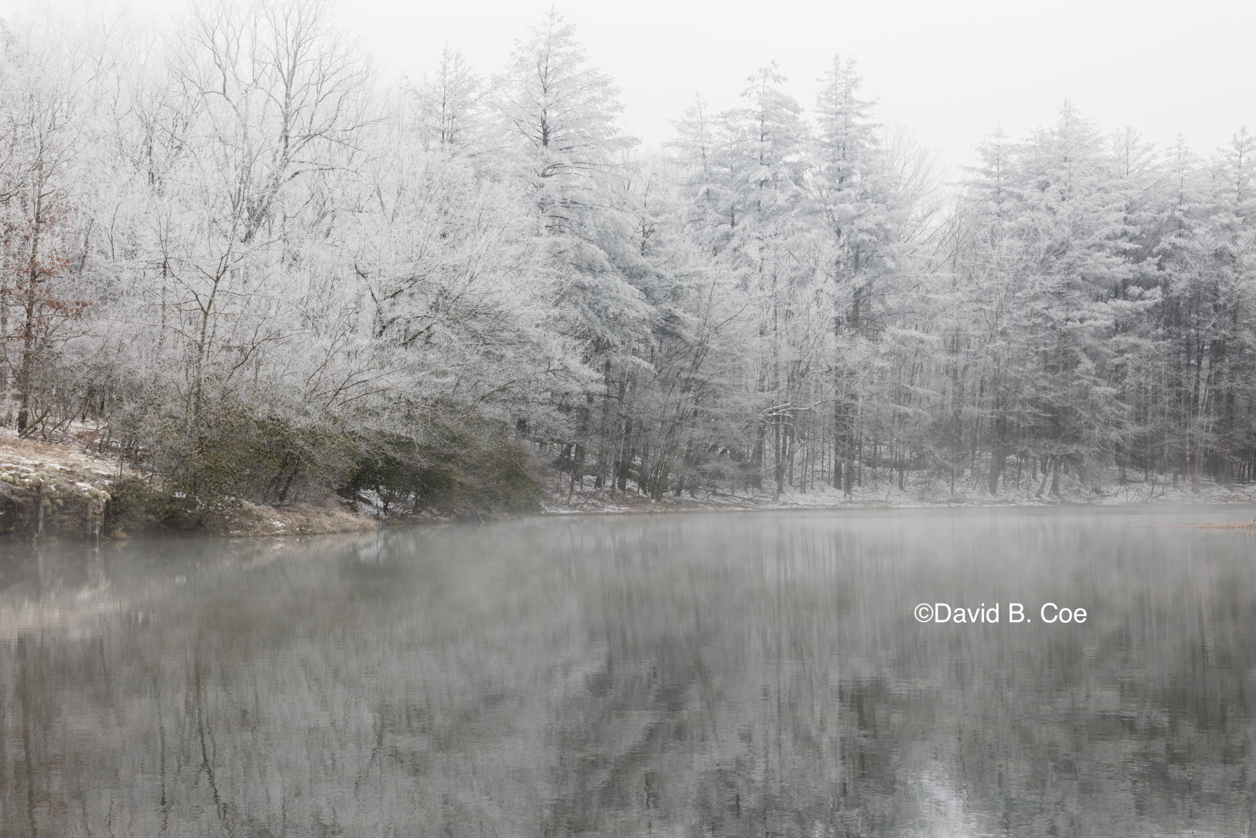 Jackson Lake with Frost and Mist II, by David B. Coe