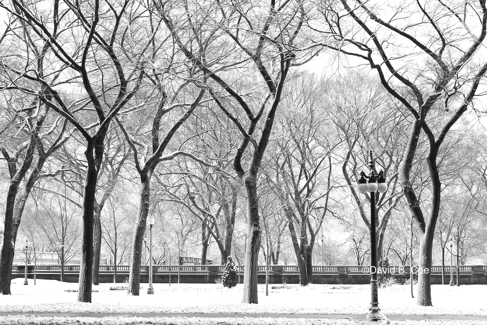 Chicago Snow, March 2014, by David B. Coe