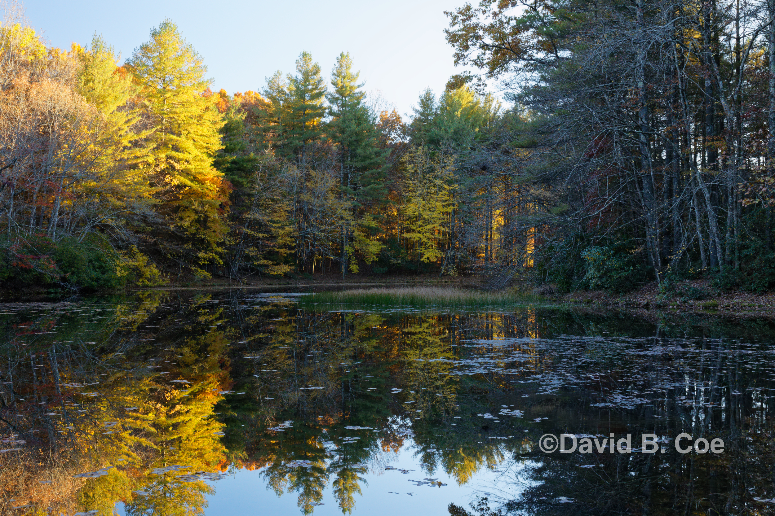 Jackson Lake, November, by David B. Coe