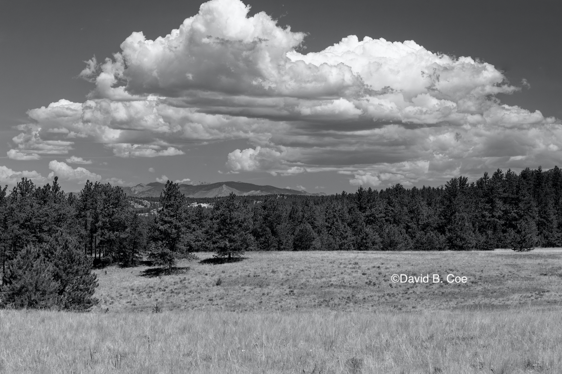Florissant Fossil Beds NM, by David B. Coe