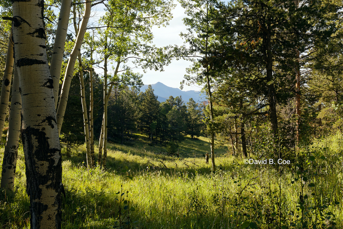 Mueller State Park view, by David B. Coe