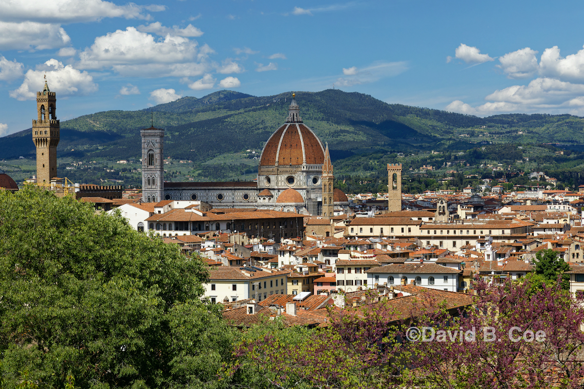 Florence skyline and Duomo from Boboli Gardens. Photo by David B. Coe